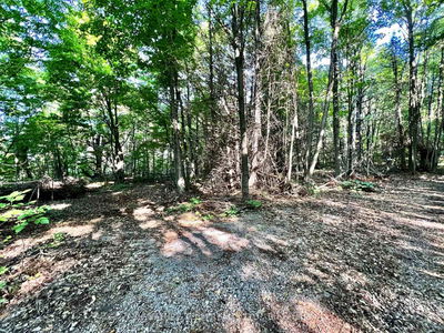  Elgin St, Eganville - Eganville/Bonnechere Twp image-0-3