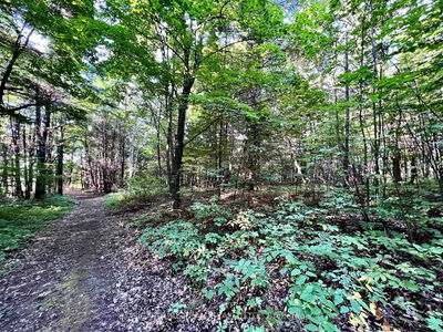  Elgin St, Eganville - Eganville/Bonnechere Twp image-0-4