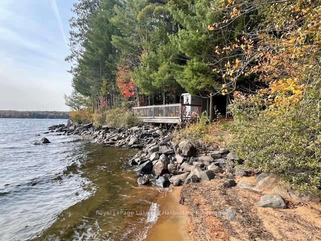  HWY 35, Algonquin Highlands - Stanhope image-0-0