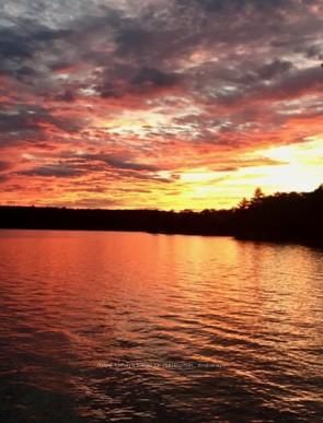  HWY 35, Algonquin Highlands - Stanhope image-0-3