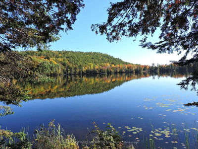2600 CLYDE LAKE Rd, Lanark - Greater Madawaska image-0-1