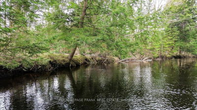 173 Lean Dr, North Kawartha - North Kawartha