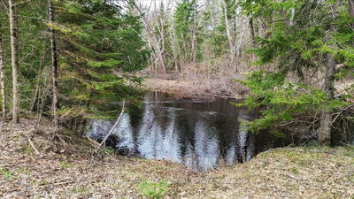 173 Lean Dr, North Kawartha - North Kawartha image-0-2