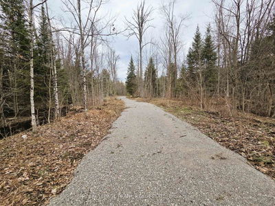 173 Lean Dr, North Kawartha - North Kawartha image-0-4