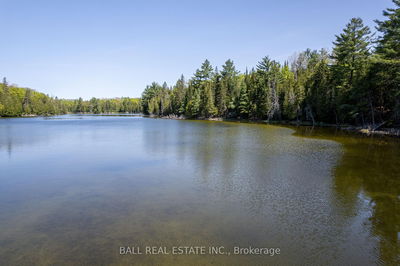  Johnson Rd, North Kawartha - North Kawartha image-0-1