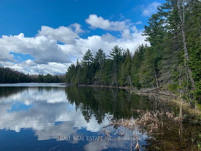  Johnson Rd, North Kawartha - North Kawartha image-0-2