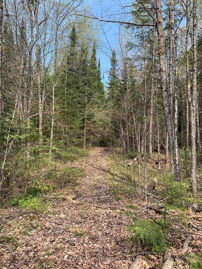  Johnson Rd, North Kawartha - North Kawartha image-0-3