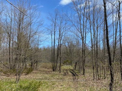  Moran Rd, Rideau Lakes - Rideau Lakes (South Elmsley) Twp