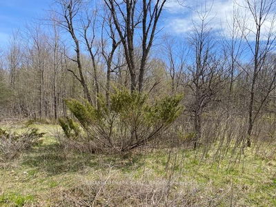  Moran Rd, Rideau Lakes - Rideau Lakes (South Elmsley) Twp image-0-3