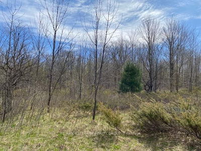  Moran Rd, Rideau Lakes - Rideau Lakes (South Elmsley) Twp image-0-4