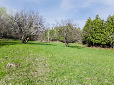 00 Old Highway 15 Rd, Rideau Lakes - Rideau Lakes (South Elmsley) Twp image-0-3