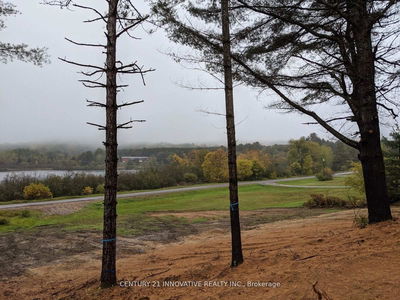 57 Bird Lake Rd, Bancroft - Herschel Ward image-0-3