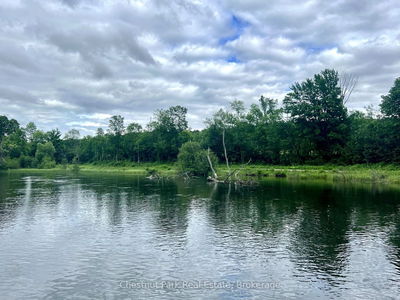  DEEP BAY Rd, Minden Hills - Lutterworth image-0-3