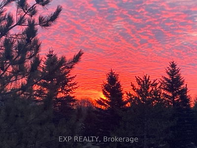 Unit Singhampton — 167 BREWSTER LAKE Rd, Grey Highlands - Grey Highlands image-0-1