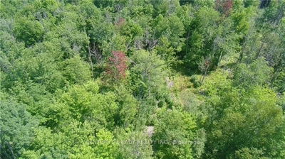  DORE BAY Rd, Pembroke - North Algona/Wilberforce Twp image-0-3