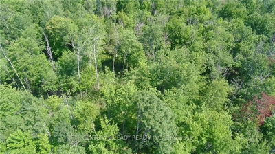 00 DORE BAY Rd, Pembroke - North Algona/Wilberforce Twp image-0-3