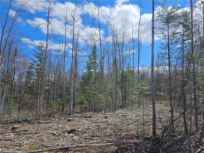 00 DORE BAY Rd, Pembroke - North Algona/Wilberforce Twp image-0-4