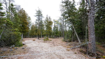 1035 DORCAS BAY Rd, Northern Bruce Peninsula - Northern Bruce Peninsula