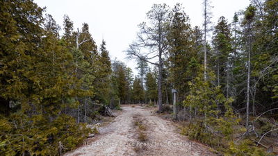 1035 DORCAS BAY Rd, Northern Bruce Peninsula - Northern Bruce Peninsula image-0-1