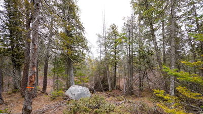 1035 DORCAS BAY Rd, Northern Bruce Peninsula - Northern Bruce Peninsula image-0-3