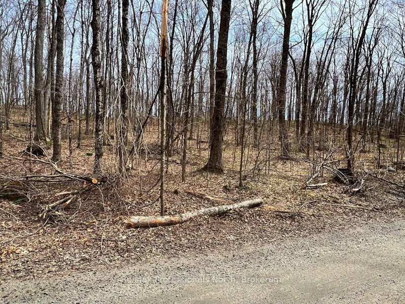 Salerno Lake Rd, Highlands East - Glamorgan image-0-0