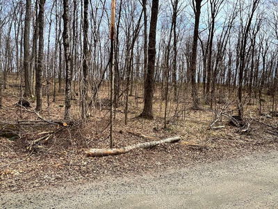 Salerno Lake Rd, Highlands East - Glamorgan
