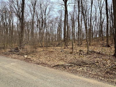 Salerno Lake Rd, Highlands East - Glamorgan image-0-1