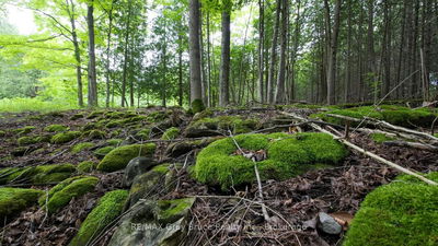 1477 Highway 6 Highway, South Bruce Peninsula - South Bruce Peninsula image-0-2