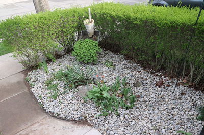 79 Harmony Ave, Hamilton - Homeside image-0-2