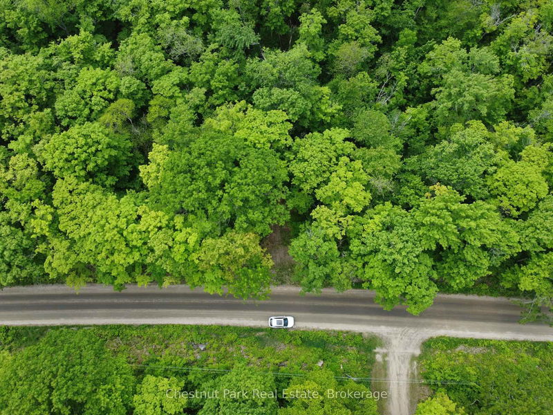1104 STARRATT Rd, Ryerson - Ryerson image-0-0