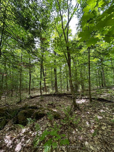 1104 STARRATT Rd, Ryerson - Ryerson image-0-1