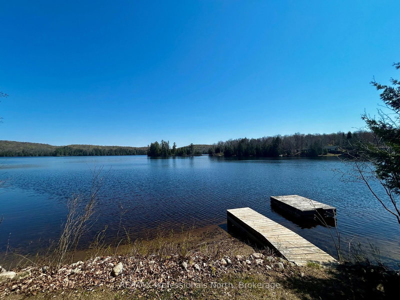 299 Sherwood Dr, Perry, P0A 1J0 | Image 3