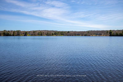 49 Hardies Rd, McKellar - McKellar image-0-3