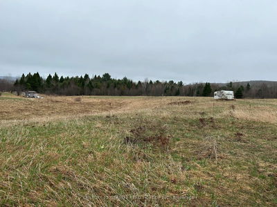 465 Mallard Lake Rd, Bancroft - Carlow Ward image-0-3