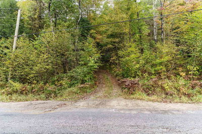 1059 Livingstone Lake Rd, Algonquin Highlands - Sherborne