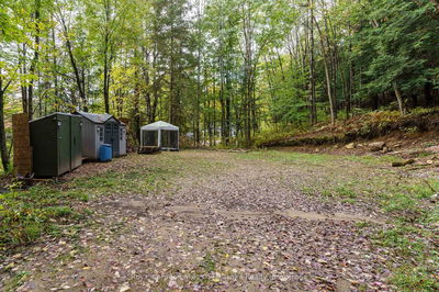 1059 Livingstone Lake Rd, Algonquin Highlands - Sherborne image-0-1