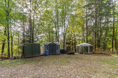 1059 Livingstone Lake Rd, Algonquin Highlands - Sherborne image-0-4