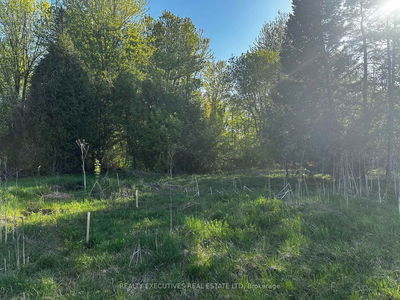 4396(A) Carman Rd, South Dundas - South Dundas (Matilda) Twp image-0-2