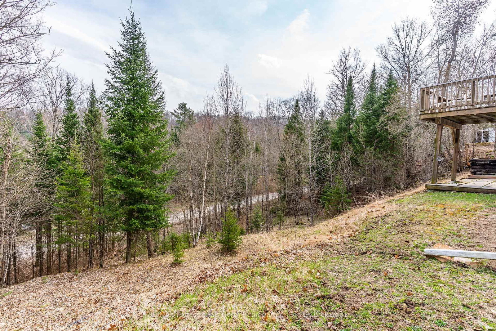 Listing Image 32
