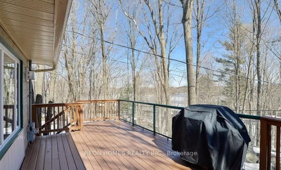 1129 FOREMAN Rd, Muskoka Lakes - Medora image-0-3