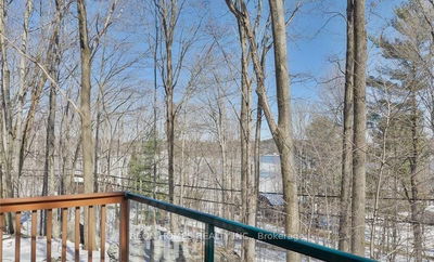1129 FOREMAN Rd, Muskoka Lakes - Medora image-0-4