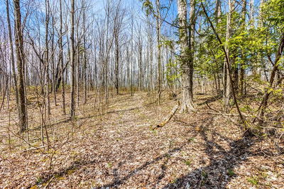 Lot 6 10th Concession, Grey Highlands - Grey Highlands image-0-3