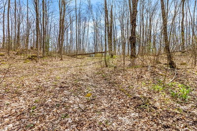 Lot 6 10th Concession, Grey Highlands - Grey Highlands image-0-4
