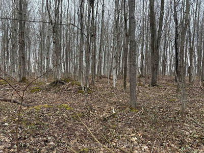 PT LT 9 CON 14 EBR PT 27 Concession, Northern Bruce Peninsula - Northern Bruce Peninsula image-0-3