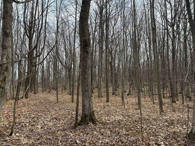 PT LT 9 CON 14 EBR PT 27 Concession, Northern Bruce Peninsula - Northern Bruce Peninsula image-0-4