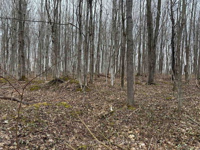 PT LT 9 CON 14 EBR PT 33 Concession, Northern Bruce Peninsula - Northern Bruce Peninsula image-0-4