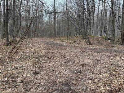 PT LT 9 CON 14 EBR PT 9 Concession, Northern Bruce Peninsula - Northern Bruce Peninsula image-0-4