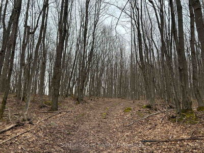 PT LT 9 CON 14 EBR PT 7 (3R1116) Concession, Northern Bruce Peninsula - Northern Bruce Peninsula image-0-4