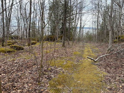 PT LT 9 CON 14 EBR PT 12 Concession, Northern Bruce Peninsula - Northern Bruce Peninsula image-0-3