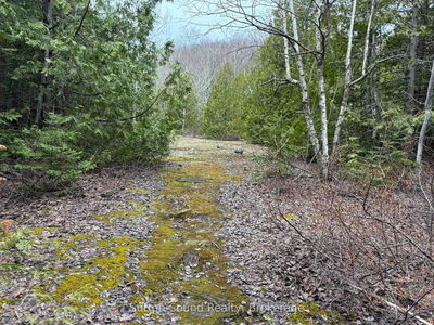 PT LT 9 CON 14 EBR PT 7 (3R728) Concession, Northern Bruce Peninsula - Northern Bruce Peninsula image-0-4